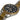 ☆ SEIKO 精工 Silver, Gold Stainless Steel Watch 銀色, 金色不鏽鋼手錶-267016732
