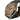 ☆ TISSOT 天梭 Grey Stainless Steel Heritage 1938 39MM Automatic Watch 灰色不鏽鋼自動手錶 T14246416332-267018991